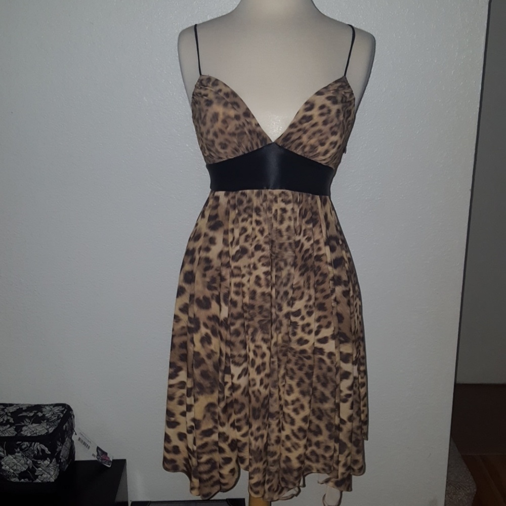 Cache leopard dress size 4